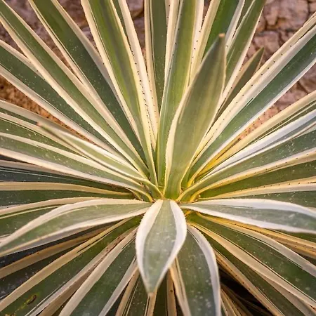 Spanish Style-villa, Heated Pool & Sea View Villa