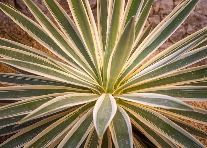 Spanish Style-villa, Heated Pool & Sea View Villa